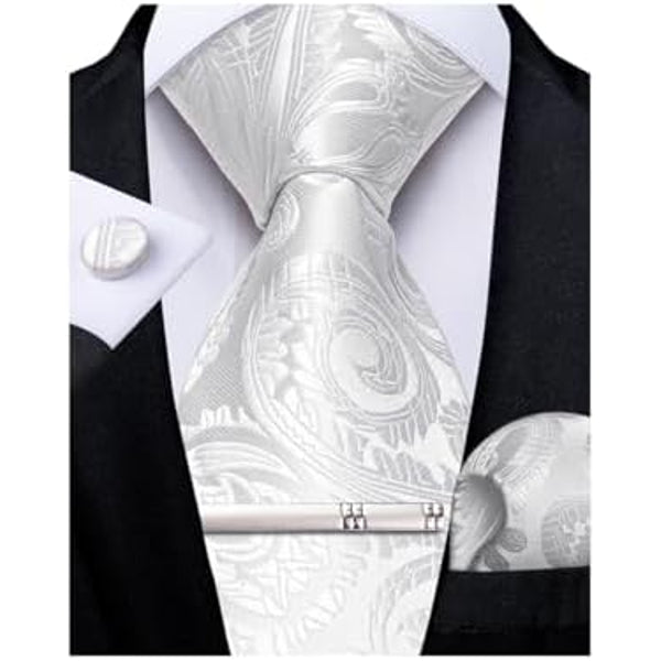 Men's Formal Paisley Tie – An Elegant Tie For Weddings, Parties, And Special Occasions