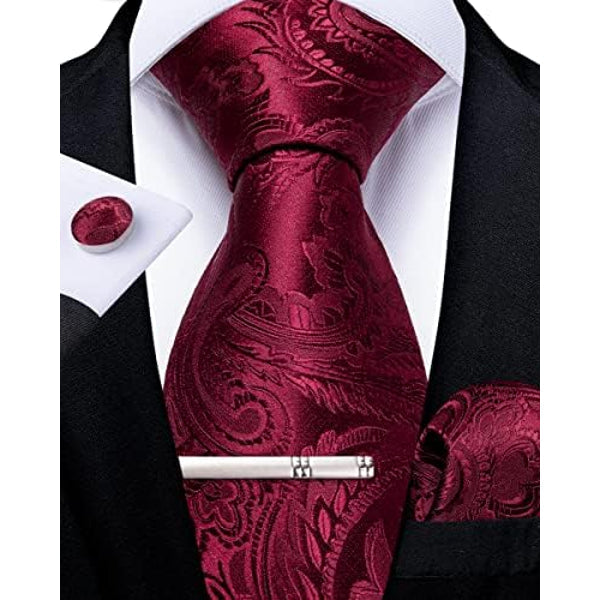 Men's Formal Paisley Tie – An Elegant Tie For Weddings, Parties, And Special Occasions