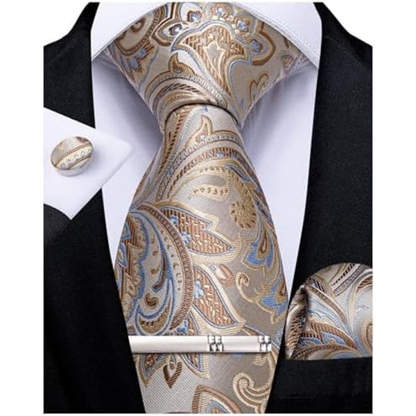 Men's Formal Paisley Tie – An Elegant Tie For Weddings, Parties, And Special Occasions