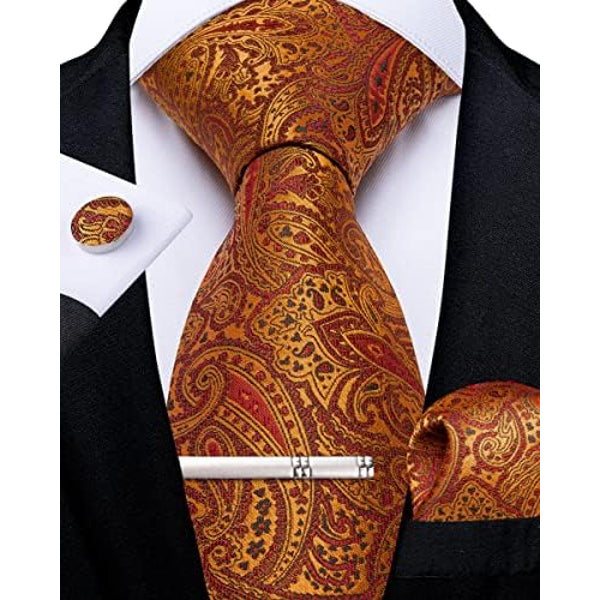 Men's Formal Paisley Tie – An Elegant Tie For Weddings, Parties, And Special Occasions